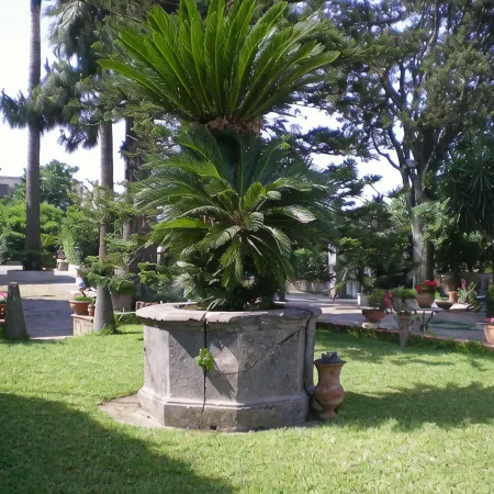 Villa Raffaela - House, ideal for a holiday pacevole