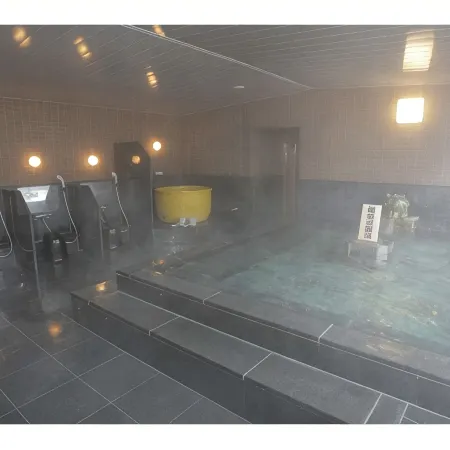 Hagi Royal Intelligent Hotel