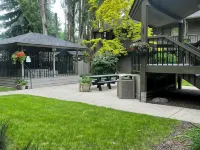 Marina Cay Condo near Flathead Lake Hoteles en Bigfork