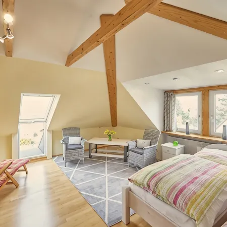 Large (100sqm) modern apartment with roof terrace