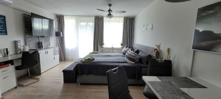 App with Air Conditioning, Pool, Garage for Car, Bike, Skis, AktivCard Bayer.Wald Optional Hotels in Straubing-Bogen