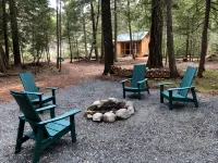 Cozy private 1 Bedroom & Loft cabin in the forest. Rustic with Modern features. - Homestays