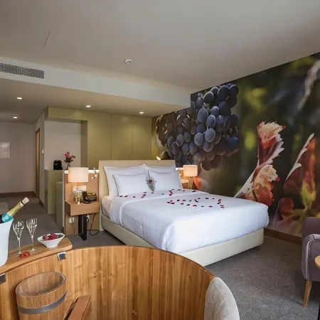 Douro Castelo Signature Hotel & Spa