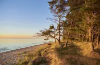 The Magic of the Baltic Sea at Ludwigsburg Palace – Experience Nature, the Sea, and Culture - 2つ星