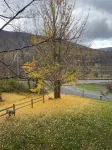 Inviting, Cozy Catskills Home - Primed for Fall! - 4 estrellas