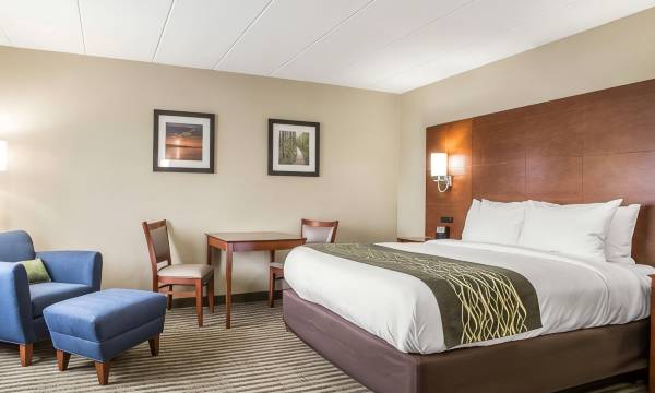 Comfort Inn Hammond I-94