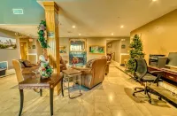 Americas Best Value Inn Raleigh - Parkplatz