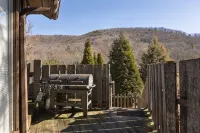 Hot Tub, Private, Rustic Elegance, Visit Barn Animals, Hammocks, 10Miles to Avl. - 木屋