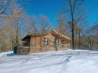 Stunning  Cabin. On a Mountain Ridge! Perfect vacation getaway for all ages! - Family
