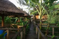 Sunscape lodge - С баром
