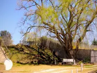 Lanseria Country Estate - Lodges