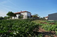 Aldeia da Quinta do Paço - Turismo Rural Santo Tirso - Villas
