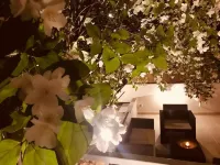 Aruna Suites - Condos