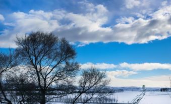 a snow - covered landscape with trees and a road , under a blue sky dotted with clouds at Klettar Tower Iceland