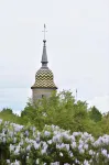 Le Tilleul de Ray Hôtels à : Ray-sur-Saône