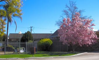 Belvoir Village Motel & Apartments Wodonga