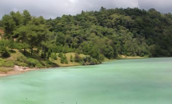 a serene lake surrounded by lush green trees and mountains , with a few birds floating on the water at Gangga Island Resort & Spa