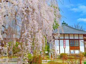 町家惠比壽屋旅館