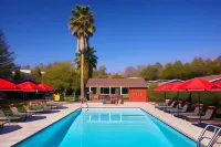 Ojai Rancho Inn - Pool