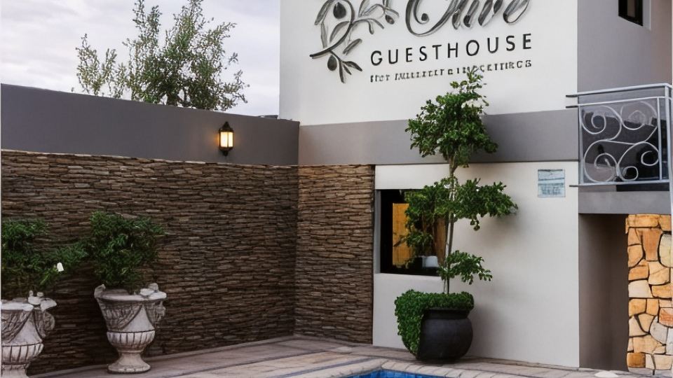 Stone Olive