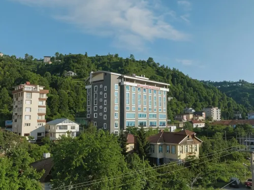 Newarise Hotel Hotels in Cayeli