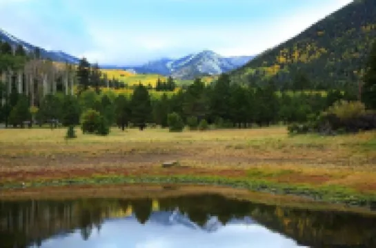 Lovely Downtown Condo, Walk to Historic Downtown!