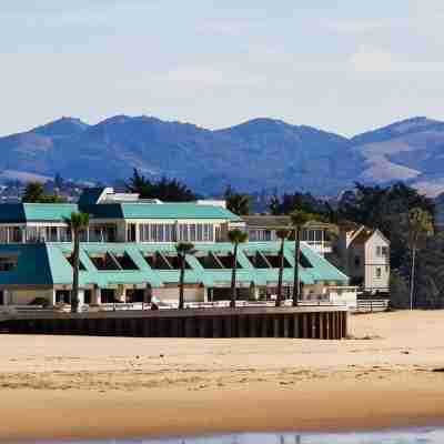 SeaVenture Beach Hotel Hotel Exterior