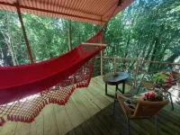 Jungle Living Tree Houses - 2-Star