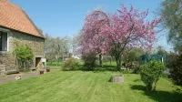 Frenes B&B