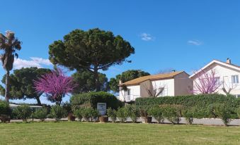 A l'Orée des Vignes