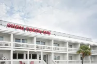 謝姆河旅館 The Coastal Cupboard附近的飯店