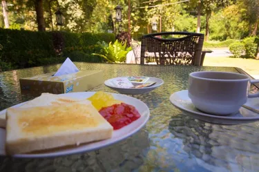 รูปภาพของจุลดิศเขาใหญ่ เจทู