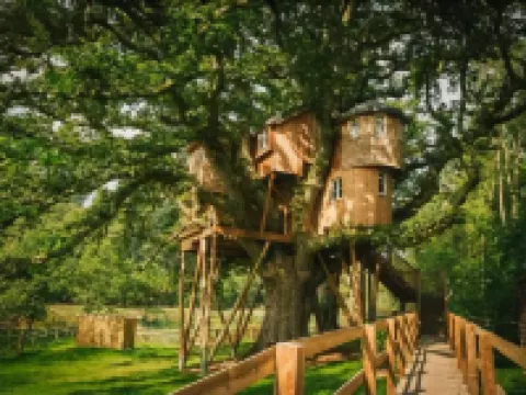 Fox & Hounds Country Hotel Hotels in Mid Devon District