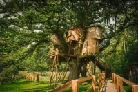 Fox & Hounds Country Hotel