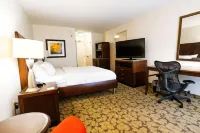 Wyndham Garden New Orleans Airport Hotels in Kenner