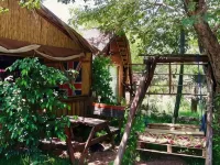 Elephant Trail Guesthouse and Backpackers Hotels in Chobe