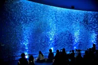 เฮนนะ โรงแรม พรีเมียร์ นาโกย่า ฟุชิมิเอกิมาเอะ