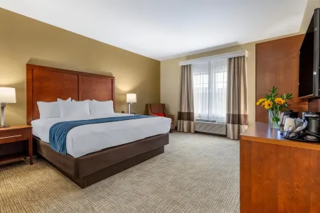 Comfort Inn Отели в г. Паулинг