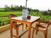 Hotel National Park Sauraha- Homely Stay and Peaceful Location with Jungle Safari Arrangements Hotels in Sauraha