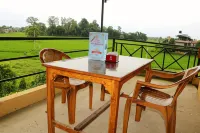 Hotel National Park Sauraha- Homely Stay and Peaceful Location with Jungle Safari Arrangements