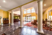 Quality Inn University Near Downtown Hotels in Martindale