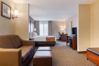 Comfort Suites South Haven Near I-96 - 2-Star