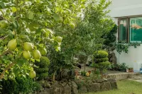 Aewol Handamgil Stay โรงแรมใกล้Aewol Coast Road