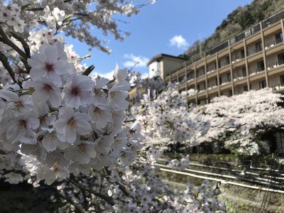ホテル周辺 箱根湯本温泉 天成園の写真