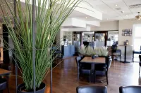 City Hotel Terneuzen - Интернет