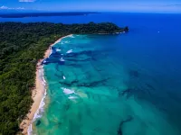 The Sea Monkey Hotels in Bastimentos Island