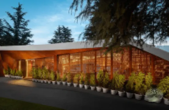 Tree of Life Eila Art Hotel