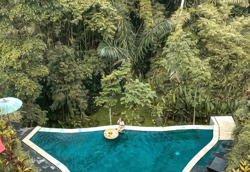 THE JUNGLE VILLA Images