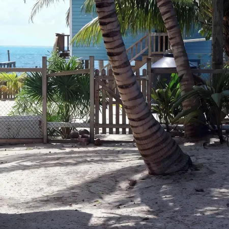 Gumbo Limbo - Seabreeze Apartment - Steps to the Ocean, Free Bikes, Free WiFi