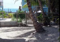 Gumbo Limbo - Seabreeze Apartment - Steps to the Ocean, Free Bikes, Free WiFi - Apartments